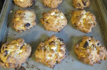 cranberry oatmeal cookies