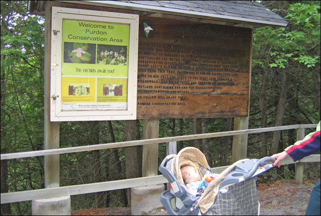 we took a trip to the purdon conservation area to see the orchids!