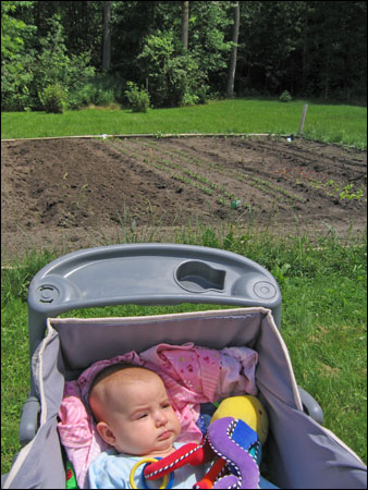 mommy should have everything planted in the garden by the end of the summer